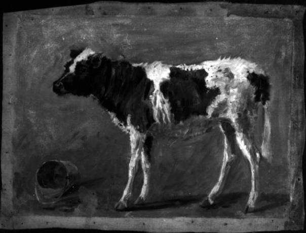 Untitled (standing cow)