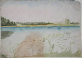 Untitled (landscape with marsh)
