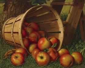 Apple Harvest