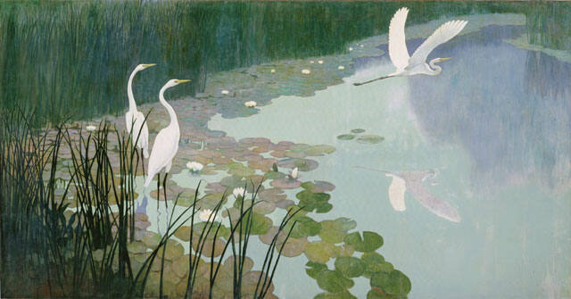 Herons in Summer