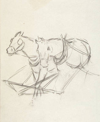study of two horses in a harness