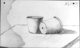 Untitled  (still life with two flower pots)