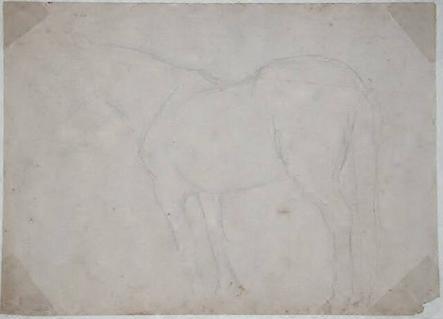 Untitled (horse)
