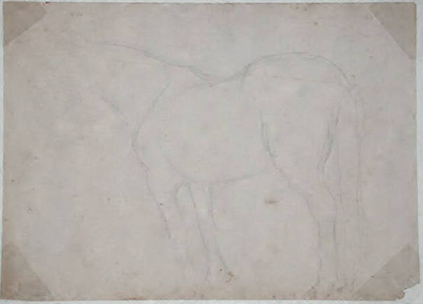 Untitled (horse)