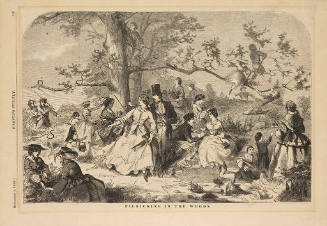 Picnicking in the Woods