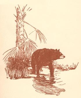 The Yearling, drawing for title page