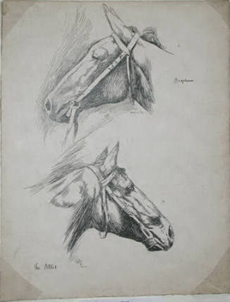 The Abbot and Boralma (horses' heads)
