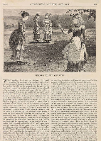 Summer in the Country