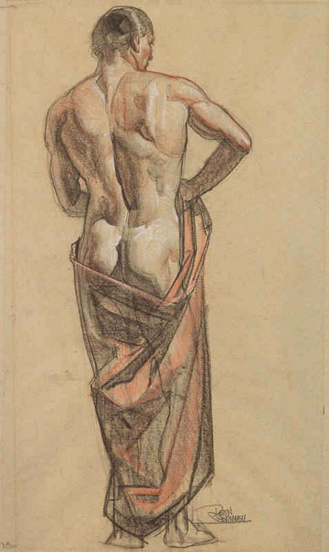 Untitled (male nude with drapery)