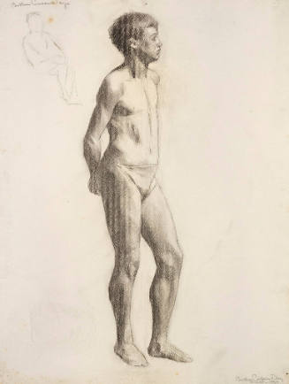 Standing Male Nude (Upright Position)