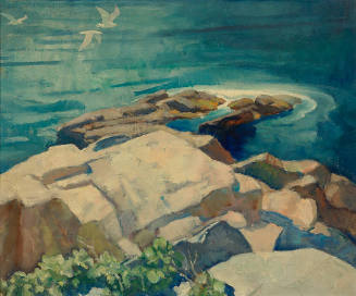 Teels Ledge, Georges Islands, Maine