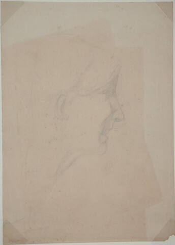 Untitled (head of a young man)
