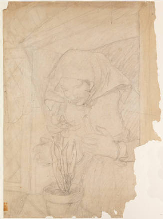 Thumbelisa, composition drawing