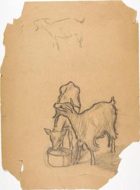 studies for "Peace" (goat and calf; verso: horse studies)