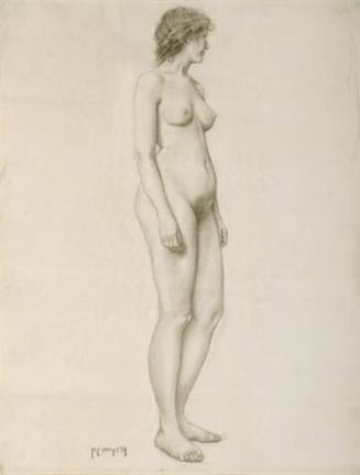 untitled (standing female nude)