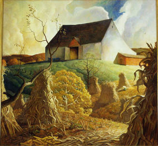 Cornfield in Pennsylvania