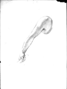 Untitled (study of arm and hand)