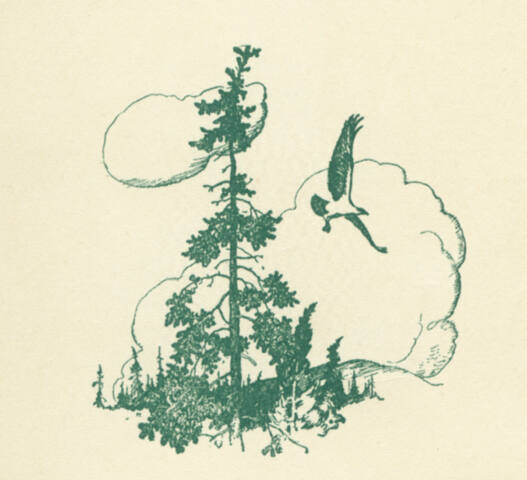 Trending Into Maine, title page drawing