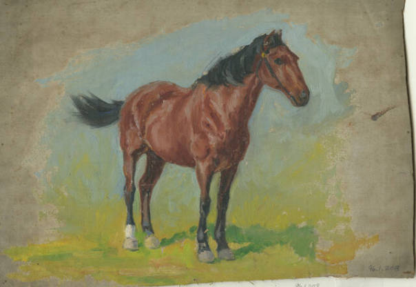 Untitled (horse)