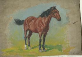 Untitled (horse)