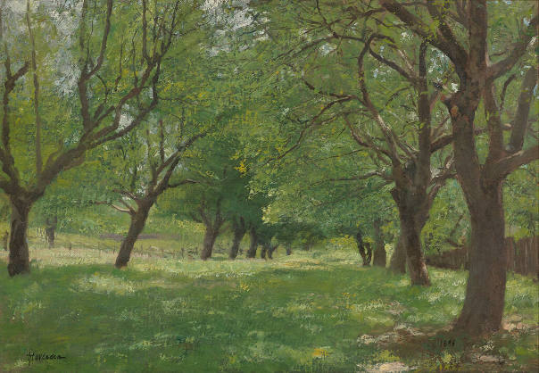 View in Pennsylvania Woods