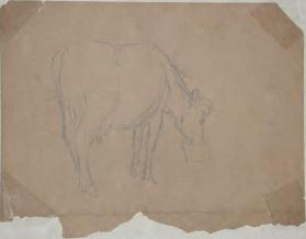 Untitled (cow eating from a bowl; verso, figure with foot on a chair)