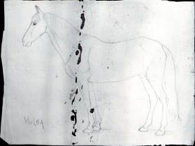 Untitled (study of a horse)