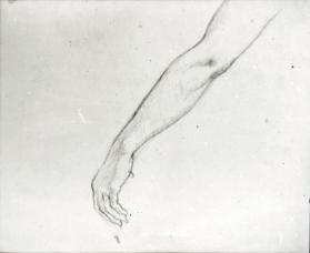 study of an arm