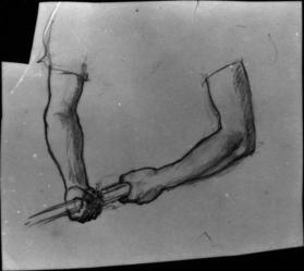 Untitled (arm and hand study)