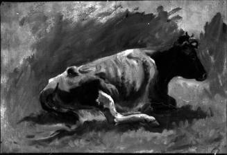 Untitled (cow lying down)