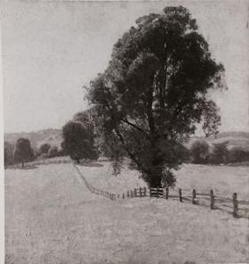 untitled (view of Chadds Ford field, divided by rail fence and tree)