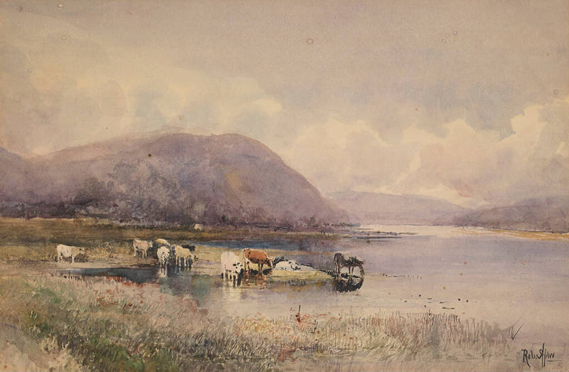 Untitled (Cows at water's edge)