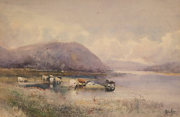 Untitled (Cows at water's edge)