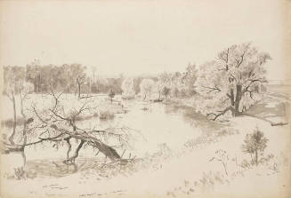 Belvidere: Delaware River Landscape with Fallen Tree