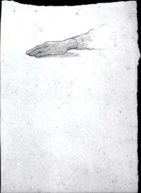 study of a hand