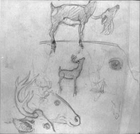 Untitled (studies of stags for Robin Hood)