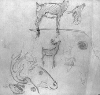 Untitled (studies of stags for Robin Hood)