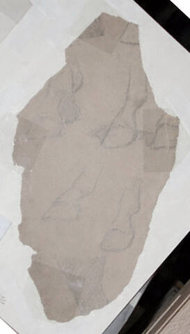 Untitled (horse hooves)