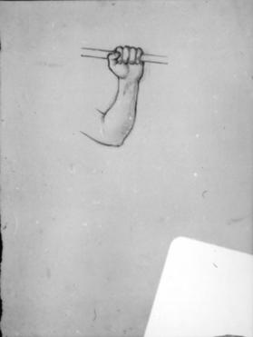 Untitled (study of an arm and hand)