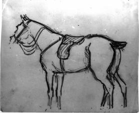 Untitled (study of a horse)