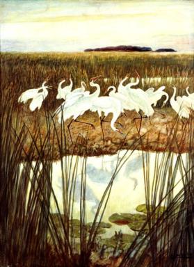 The Dance of the Whooping Cranes