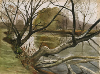 Brandywine River Landscape