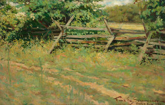 Worm Fence (Hoffman's Meadow)