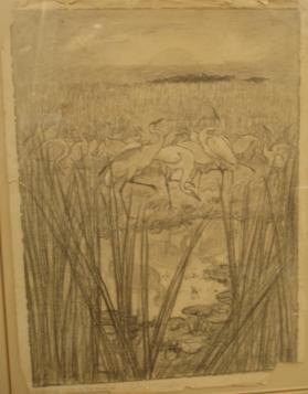 The Dance of the Whooping Cranes, composition drawing