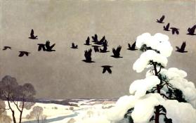 Crows in Winter