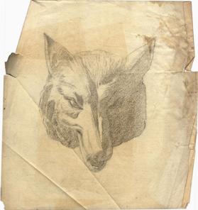 Untitled (head of a fox or wolf)