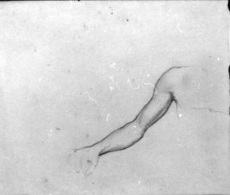 Untitled (study of an arm)