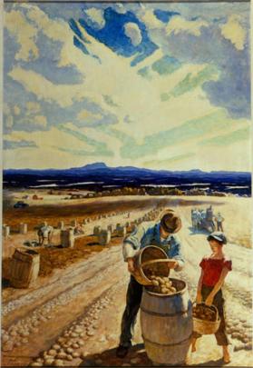 The Aroostook Potato Harvest