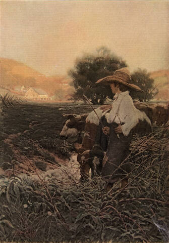 untitled (illustration for Back to the Farm)