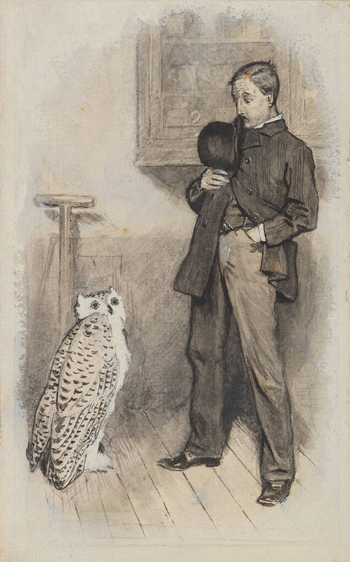 I'm an Owl; You're Another